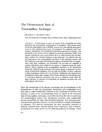 The Ultrastructural Basis of Transcapillary Exchanges