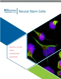 Neural Stem Cells