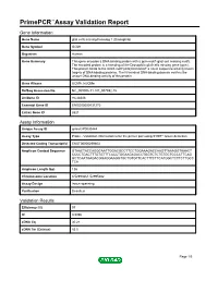 Primepcr™Assay Validation Report