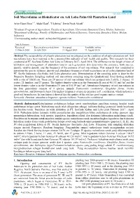 Soil Macrofauna As Bioindicator on Aek Loba Palm Oil Plantation Land