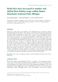 Walia Ibex Have Increased in Number and Shifted Their Habitat Range Within Simien Mountains National Park, Ethiopia