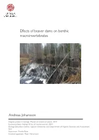 Effects of Beaver Dams on Benthic Macroinvertebrates