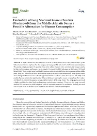Evaluation of Long Sea Snail Hinia Reticulata (Gastropod) from the Middle Adriatic Sea As a Possible Alternative for Human Consumption