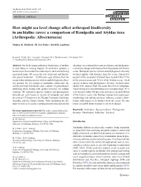 How Might Sea Level Change Affect Arthropod Biodiversity in Anchialine Caves: a Comparison of Remipedia and Atyidae Taxa (Arthropoda: Altocrustacea)