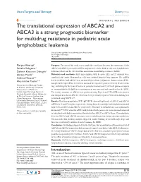 The Translational Expression of ABCA2 and ABCA3 Is a Strong Prognostic Biomarker for Multidrug Resistance in Pediatric Acute Lymphoblastic Leukemia