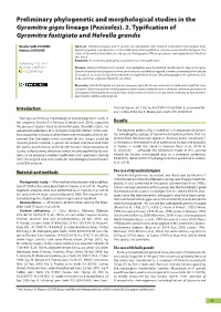 2. Typification of Gyromitra Fastigiata and Helvella Grandis