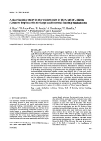 A Microseismic Study in the Western Part of the Gulf of Corinth (Greece): Implications for Large-Scale Normal Faulting Mechanisms