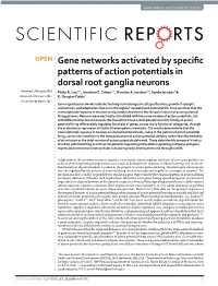 Gene Networks Activated by Specific Patterns of Action Potentials in Dorsal Root Ganglia Neurons Received: 10 August 2016 Philip R