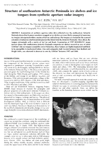 Structure of Southeastern Antarctic Peninsula Ice Shelves and Ice Tongues from Synthetic Aperture Radar Imagery