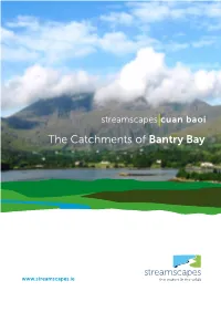 The Catchments of Bantry Bay