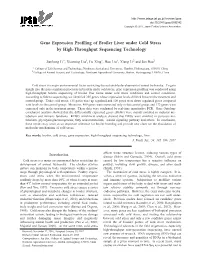 Gene Expression Profiling of Broiler Liver Under Cold Stress by High-Throughput Sequencing Technology