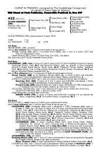HORSE in TRAINING, Consigned by the Castlebridge Consignment on Behalf of Saxon Gate (A