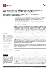 Overview of Bat and Wildlife Coronavirus Surveillance in Africa: a Framework for Global Investigations
