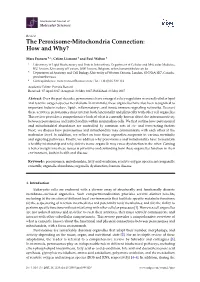 The Peroxisome-Mitochondria Connection: How and Why?