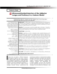 Ultrasound-Guided Injection of the Adductor Longus and Pectineus in a Cadaver Model
