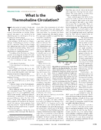 What Is the Thermohaline Circulation?