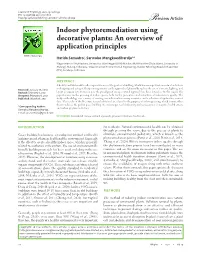 Indoor Phytoremediation Using Decorative Plants: an Overview of Application Principles