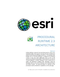 Procedural Runtime 2.3 Architecture