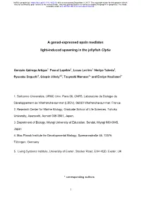 A Gonad-Expressed Opsin Mediates Light-Induced Spawning in The