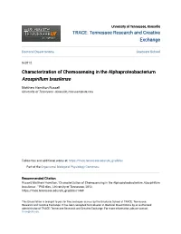 Characterization of Chemosensing in the Alphaproteobacterium &lt;I&gt; Azospirillum Brasilense &lt;/I&gt;
