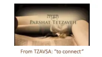 Connections to Parsha Tetzaveh and a Lot More (PDF)