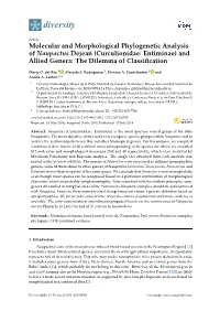 Molecular and Morphological Phylogenetic Analysis of Naupactus Dejean (Curculionidae: Entiminae) and Allied Genera: the Dilemma of Classiﬁcation