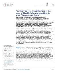 Positively Selected Modifications in the Pore of Tbaqp2 Allow Pentamidine
