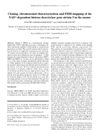 Cloning, Chromosomal Characterization and FISH Mapping of the NAD+-Dependent Histone Deacetylase Gene Sirtuin 5 in the Mouse