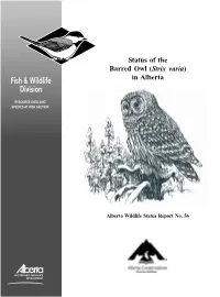 Status of the Barred Owl (Strix Varia) in Alberta