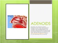 ADENOIDS Disclaimer: the Pictures Used in This Presentation Have Been Obtained from a Number of Sources