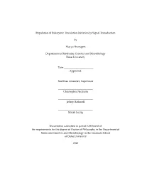 Duke University Dissertation Template