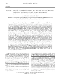 Articles Catalytic Cycling in Β-Phosphoglucomutase: a Kinetic