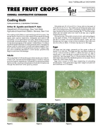 Codling Moth Cydia Pomonella (L.) (Lepidoptera:Tortricidae) Arthur M