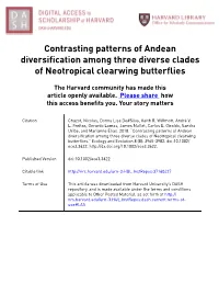 Contrasting Patterns of Andean Diversification Among Three Diverse Clades of Neotropical Clearwing Butterflies