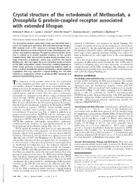 Crystal Structure of the Ectodomain of Methuselah, a Drosophila G Protein-Coupled Receptor Associated with Extended Lifespan