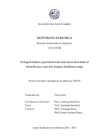 Dottorato Di Ricerca