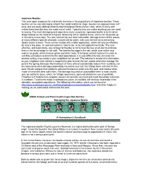 Japanese Beetles This Year Again Proposes for a Dramatic Increase in the Populations of Japanese Beetles