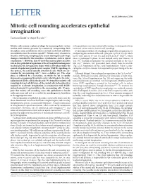 Mitotic Cell Rounding Accelerates Epithelial Invagination