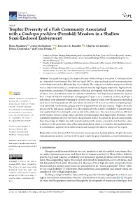 Trophic Diversity of a Fish Community Associated with a Caulerpa Prolifera (Forsskål) Meadow in a Shallow Semi-Enclosed Embayment