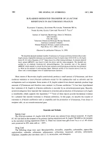 Most Strains of Bacteroides Fragilis Constitutively Produce a Small