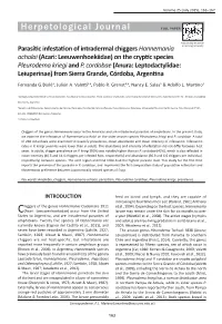 Parasitic Infestation of Intradermal Chiggers &lt;I&gt;Hannemania Achalai&lt;/I&gt; (Acari: Leeuwenhoekiidae) on the Cryptic