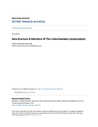 Seta Structure in Members of the Coleochaetales (Streptophyta)