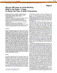 Myosin IIIB Uses an Actin-Binding Motif in Its Espin-1 Cargo to Reach the Tips of Actin Protrusions