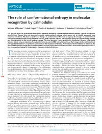 The Role of Conformational Entropy in Molecular Recognition by Calmodulin