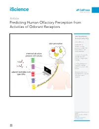 Predicting Human Olfactory Perception from Activities of Odorant Receptors