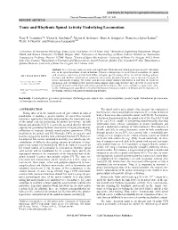 Tonic and Rhythmic Spinal Activity Underlying Locomotion