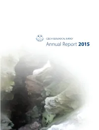 Annual Report 2015