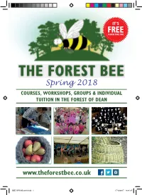 BEE GROOVY Free