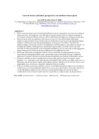 Current Status and Future Perspectives on Sunflower Insect Pests