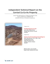 NI 43-101 Technical Report